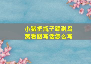 小猪把瓶子踢到鸟窝看图写话怎么写