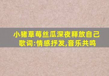 小猪草莓丝瓜深夜释放自己歌词:情感抒发,音乐共鸣