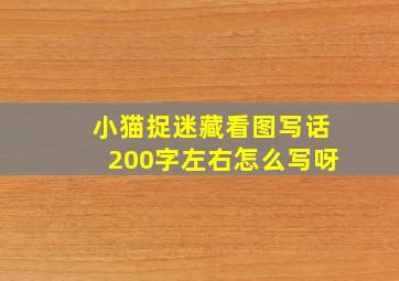 小猫捉迷藏看图写话200字左右怎么写呀