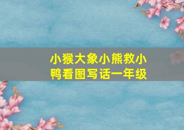 小猴大象小熊救小鸭看图写话一年级