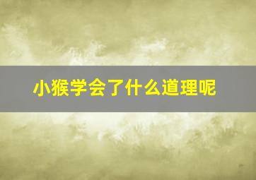 小猴学会了什么道理呢