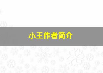 小王作者简介