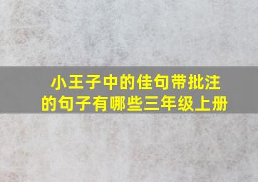 小王子中的佳句带批注的句子有哪些三年级上册