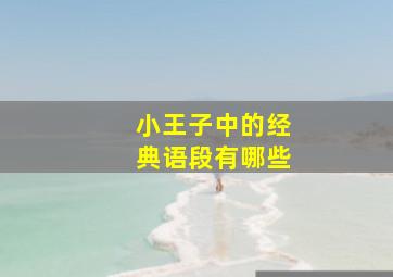 小王子中的经典语段有哪些