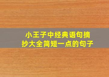 小王子中经典语句摘抄大全简短一点的句子