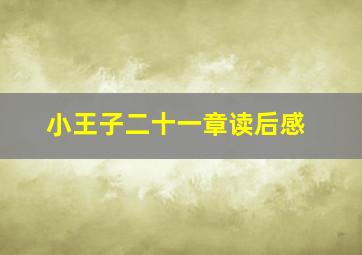 小王子二十一章读后感