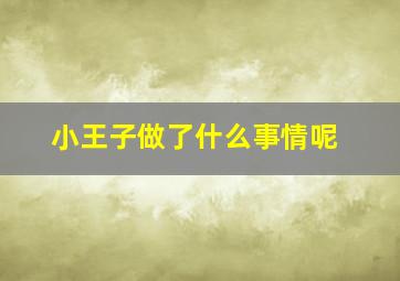 小王子做了什么事情呢