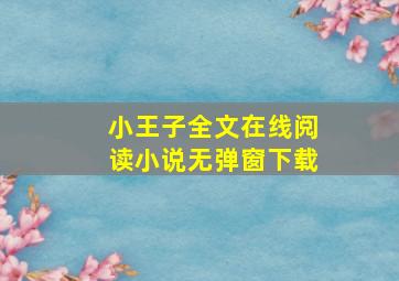 小王子全文在线阅读小说无弹窗下载