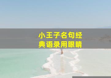 小王子名句经典语录用眼睛