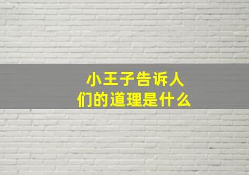 小王子告诉人们的道理是什么