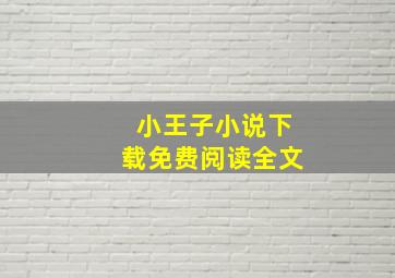 小王子小说下载免费阅读全文