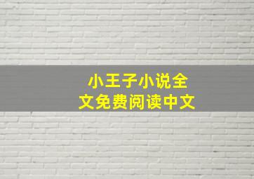 小王子小说全文免费阅读中文