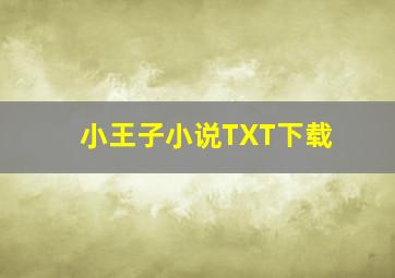 小王子小说TXT下载