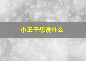 小王子想说什么