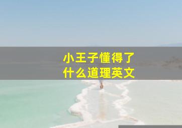 小王子懂得了什么道理英文