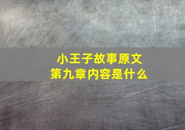 小王子故事原文第九章内容是什么