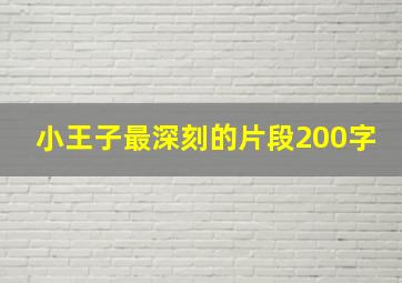 小王子最深刻的片段200字