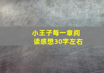 小王子每一章阅读感想30字左右