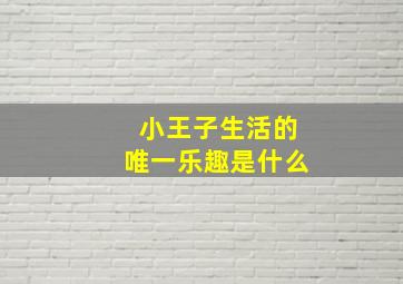 小王子生活的唯一乐趣是什么