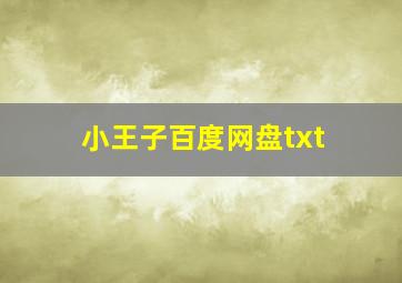 小王子百度网盘txt