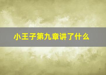 小王子第九章讲了什么