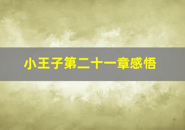 小王子第二十一章感悟