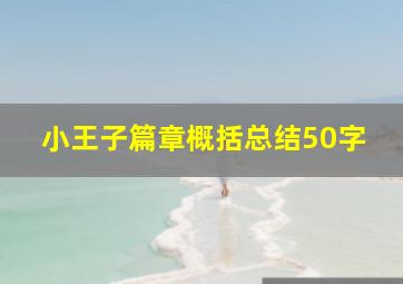 小王子篇章概括总结50字