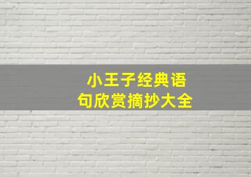 小王子经典语句欣赏摘抄大全