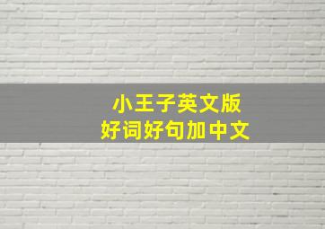 小王子英文版好词好句加中文