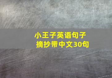 小王子英语句子摘抄带中文30句