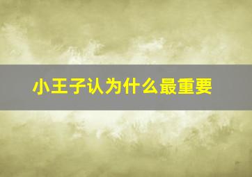 小王子认为什么最重要