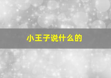 小王子说什么的