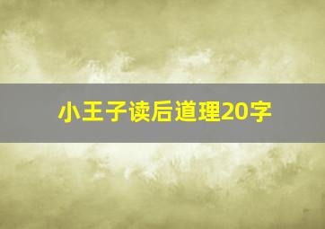 小王子读后道理20字