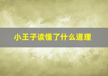 小王子读懂了什么道理