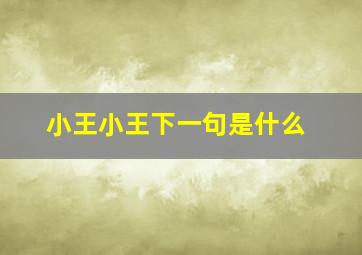 小王小王下一句是什么