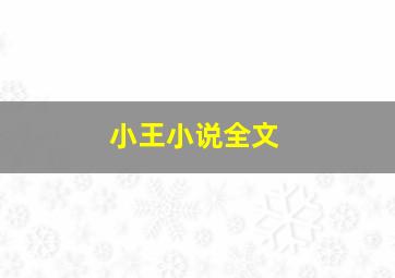 小王小说全文