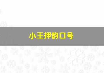 小王押韵口号