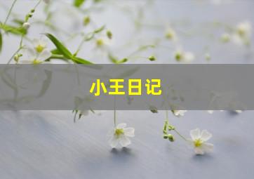 小王日记