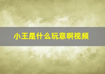 小王是什么玩意啊视频