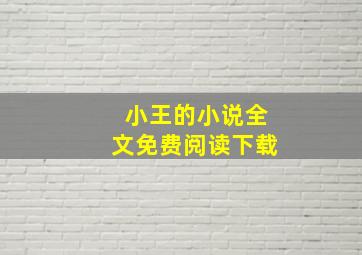 小王的小说全文免费阅读下载