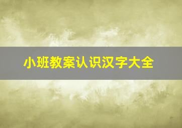 小班教案认识汉字大全