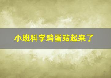 小班科学鸡蛋站起来了