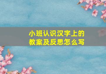 小班认识汉字上的教案及反思怎么写