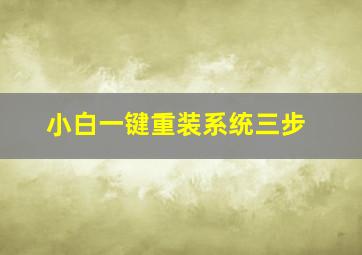 小白一键重装系统三步