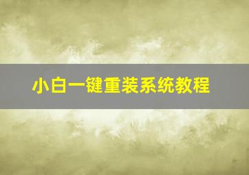 小白一键重装系统教程