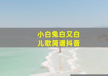 小白兔白又白儿歌简谱抖音