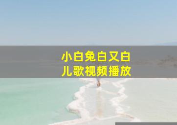 小白兔白又白儿歌视频播放