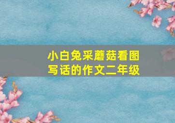 小白兔采蘑菇看图写话的作文二年级