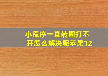 小程序一直转圈打不开怎么解决呢苹果12