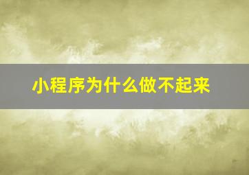 小程序为什么做不起来